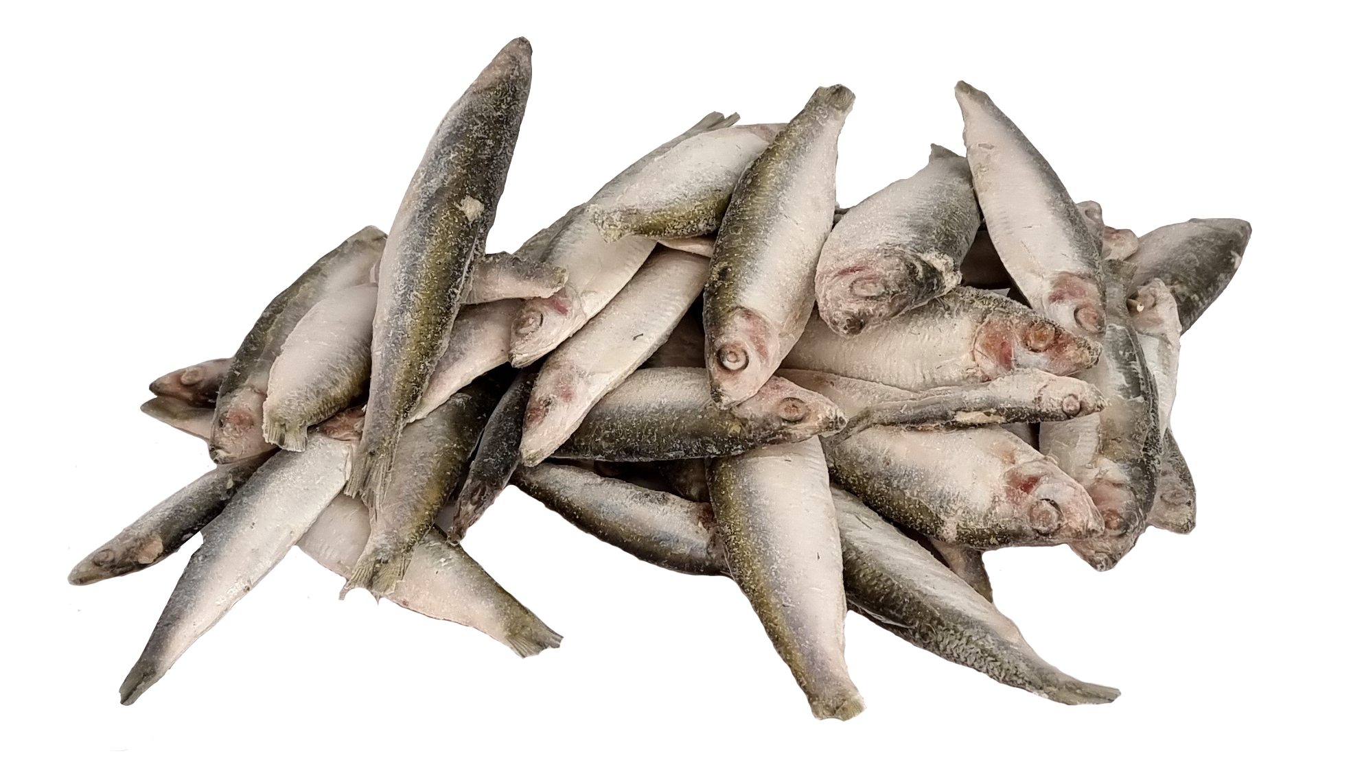 Frozen Whole SPRATS Fish 8kgs - Includes Delivery