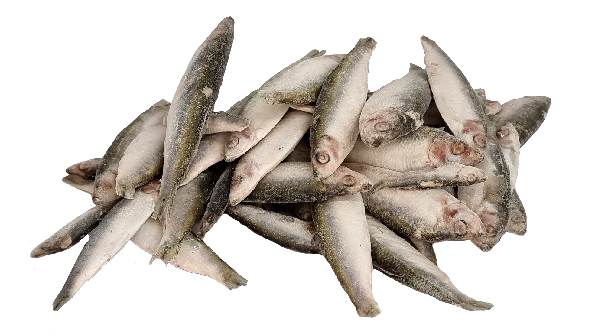 Click & Collect MALDON - Frozen Sprats 1kg