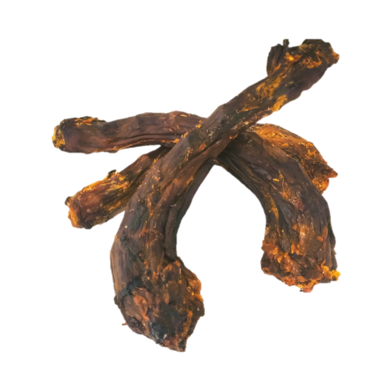 Can You Give A Dog A Turkey Neck