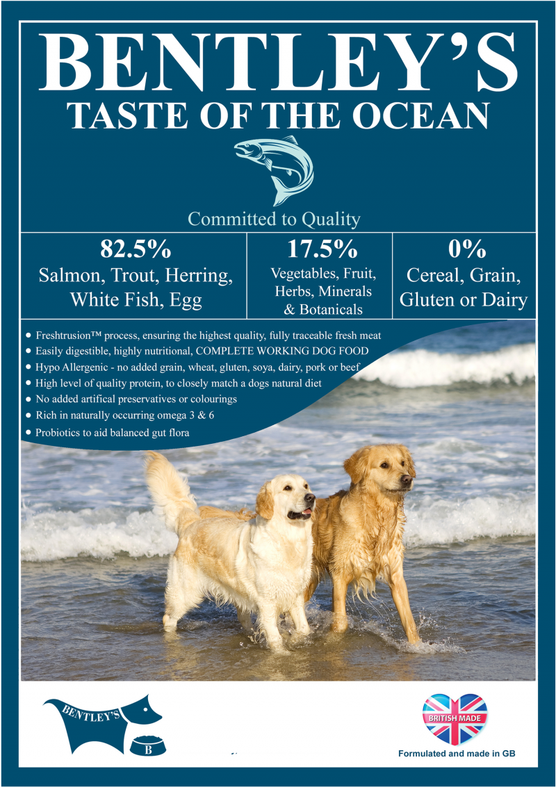 Bentleys Taste Of The Ocean Bitter Taste For Dogs Discount Store, Save 47% | jlcatj.gob.mx